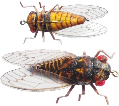SythFly Cicada Fishing Flies Multi-Pack 4 3-pack - BeesActive Australia