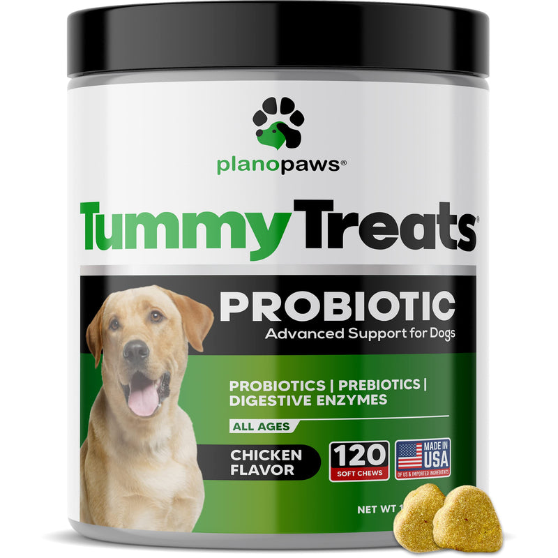 Tummy Treats - Probiotics for Dogs - All Natural Dog Probiotics and Digestive Enzymes - Allergy Relief for Dogs - 120 Dog Breath Treats - Dog Allergy Chews - Fiber for Dogs - Safe Dog Breath Freshener - BeesActive Australia