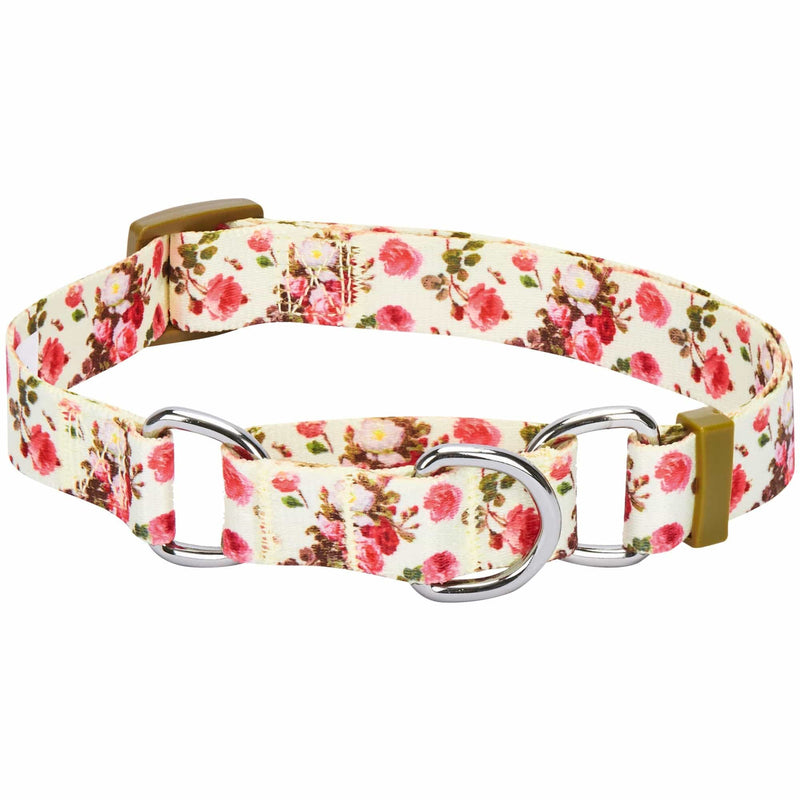 Blueberry Pet 5 Patterns Spring Scent Inspired Rose Print Martingale Safety Training Dog Collars, Personalized Collars Small Ivory - BeesActive Australia