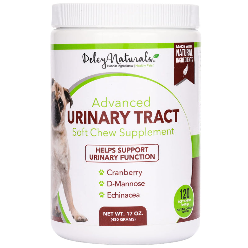 Dog UTI Prevention - Incontinence, Bladder, Kidney & Immune System Support - Cranberry Pills for Dogs - D-Mannose & Echinacea - Made in USA, Chicken, All Natural - 120 Grain Free Soft Chews - BeesActive Australia