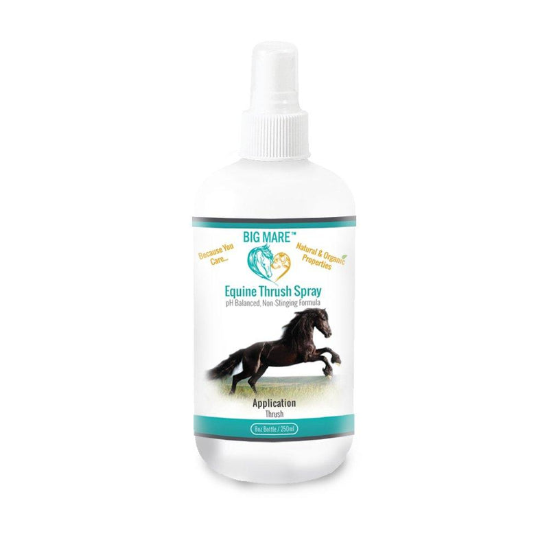 [AUSTRALIA] - Big Mare Thrush Spray : Antibacterial/Antifungal. Clinically Proven Effective On Thrush. No Sting, No Stain Formulation. Veterinary Approved & Recommended. 