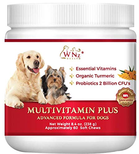 WNz Health Probiotics for Dogs - Best Relief from Diarrhea Constipation Allergies Bad Breath Itching Gas & Shedding Chicken Flavor Vitamins - BeesActive Australia