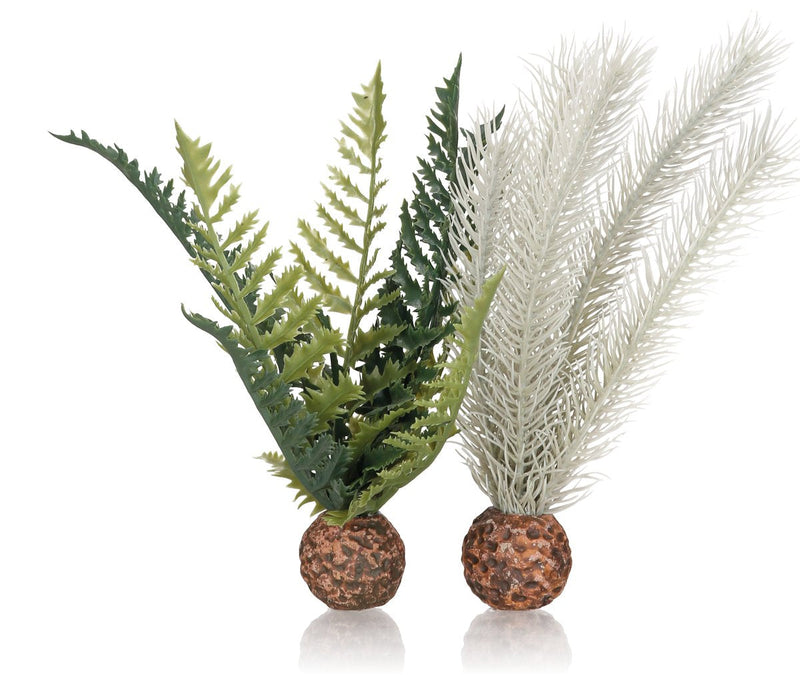 biOrb Thistle Fern Small Grey/Green - BeesActive Australia