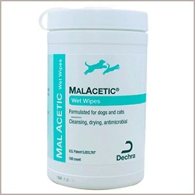 MalAcetic Wet Wipes for Dogs & Cats (100 count) - BeesActive Australia