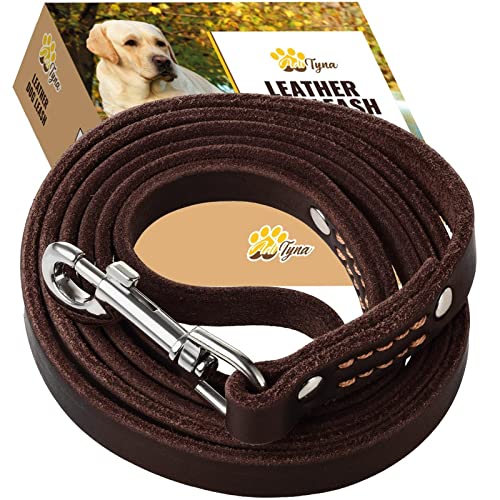 ADITYNA Leather Dog Leash 6 Foot - Soft and Strong Leather Leash for Small and Medium Dog 6 ft x 5/8" Brown - BeesActive Australia