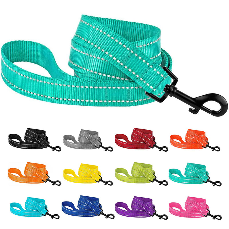 CollarDirect Nylon Dog Leash 5ft for Daily Outdoor Walking Running Training Heavy Duty Reflective Pet Leashes for Large, Medium & Small Dogs Mint Green - BeesActive Australia
