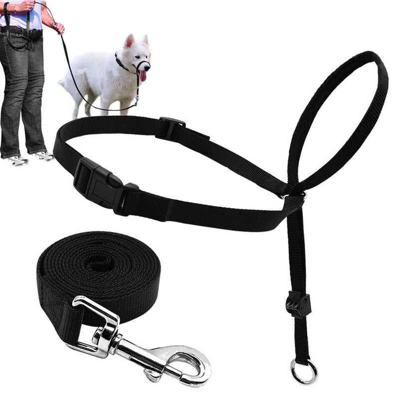 Dog Head Collar, Adjustable and Padded, No-Pull Training Tool for Dogs on Walks, Includes 1 Dog Leash and Free Training Guide, 3 S Black - BeesActive Australia