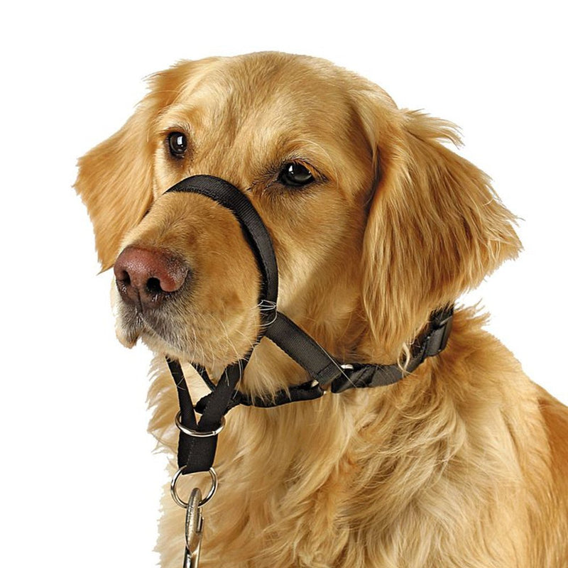 Dog Head Collar, No Pull Training Tool for Dogs on Walks, Includes Free Training Guide, 5 XL Black - BeesActive Australia