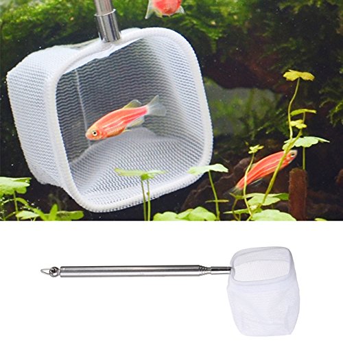 Kangkang 3D Aquarium Small Fish Shrimp Catching Net 5cm Square Round Shape ZSZ4781 Random Color Delivery (Square) - BeesActive Australia
