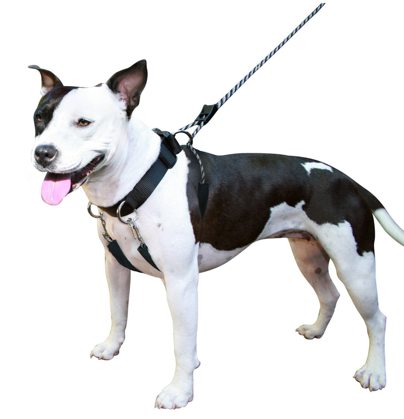 Sporn Dog Halter for Large Breed Dogs – Non Pull Humane Pet Training Harness – Reflective Pet Collar Halter with Detachable Restraints - Patented Dog Pull Control Technology – Medium - Black - BeesActive Australia