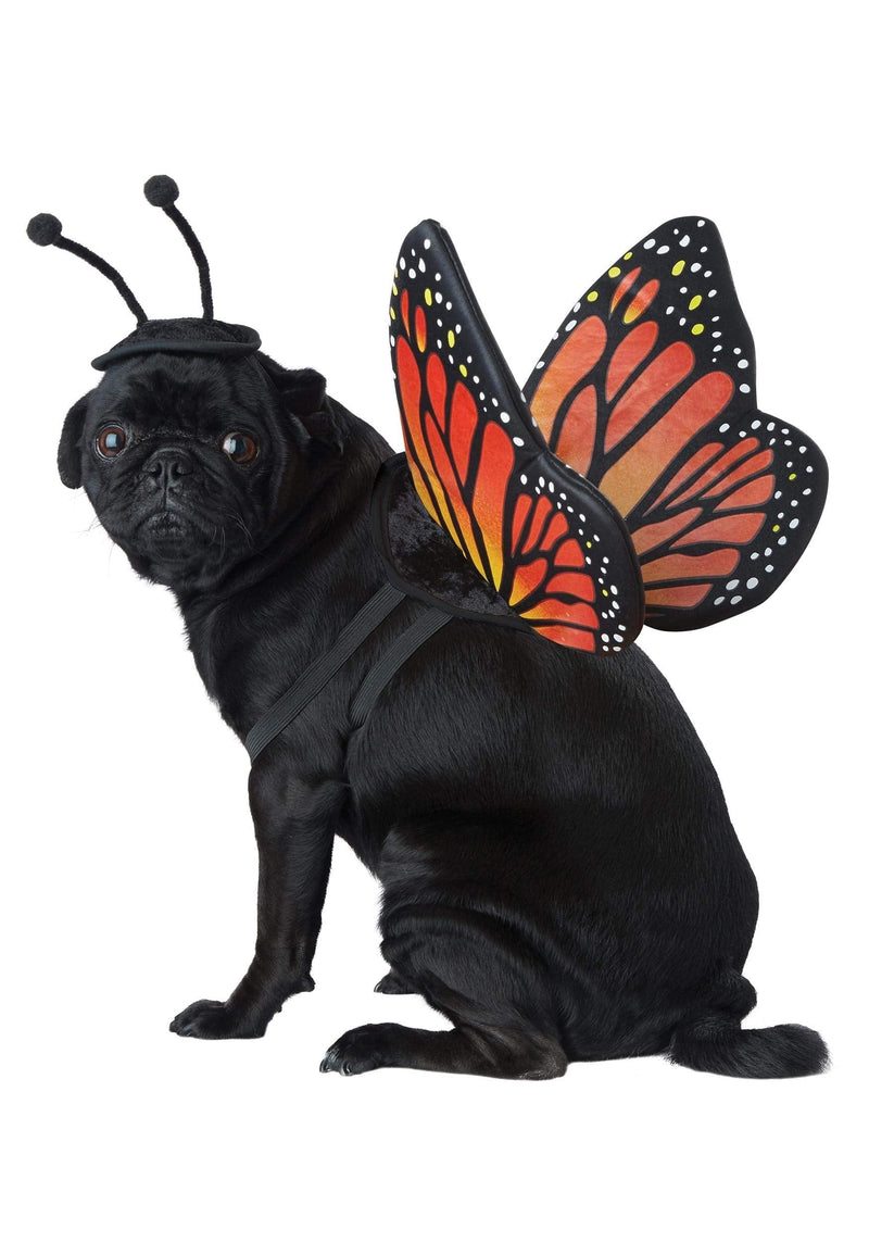 California Costumes Pet Monarch Butterfly Dog Costume Costume Large - BeesActive Australia
