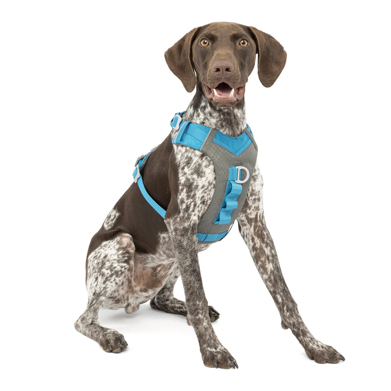 Kurgo Journey Air Dog Harness, Pet Hiking Harness for Running & Walking, Everyday Harnesses for Pets, for Large, Medium, & Small Dogs, Reflective, Black, Blue, Red, Coral, Orange, and Purple - BeesActive Australia