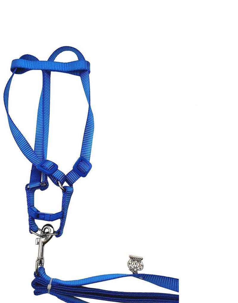 Bird Harness and Leash Amazon Cockatoo Harness Safe Adjustable Nylon Anti-bite Training Hraness Outside Walk for Large Bird Parrot Macaw Color Random L CHEST 13.78-21.65" - BeesActive Australia