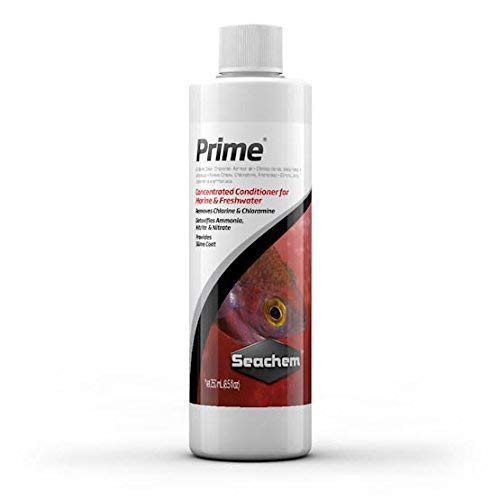 Seachem Prime | 250 ml - BeesActive Australia