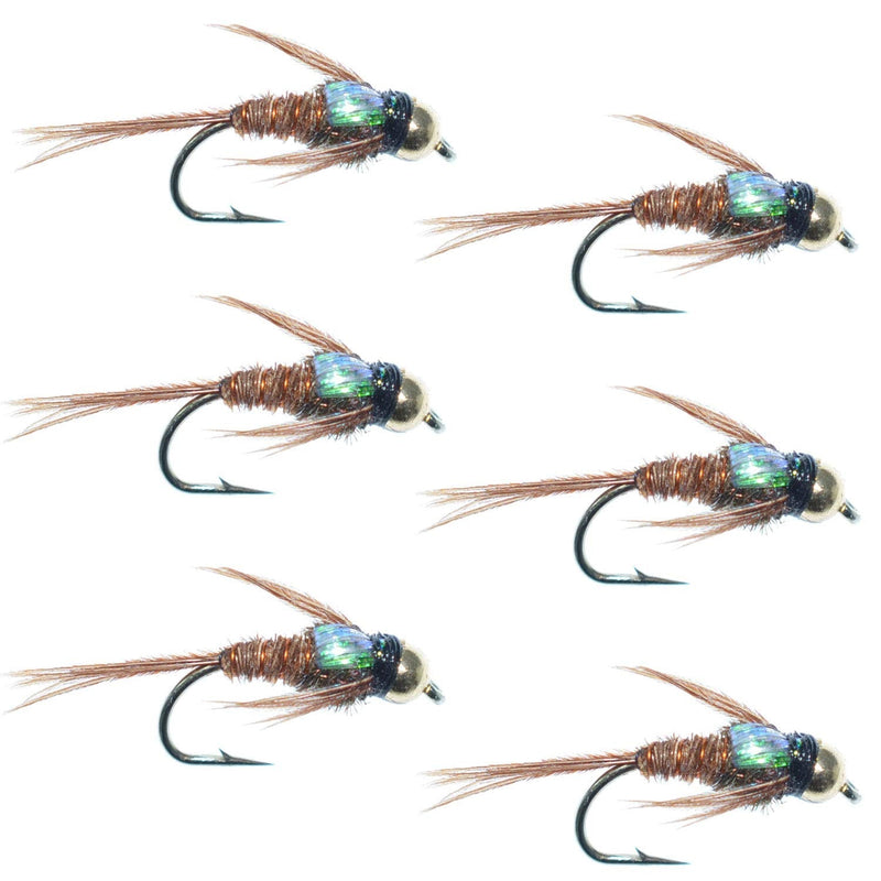 The Fly Fishing Place Bead Head Flash Back Pheasant Tail Nymph Fly Fishing Flies - Trout and Bass Wet Fly Pattern - 6 Flies Hook Size 10 - BeesActive Australia