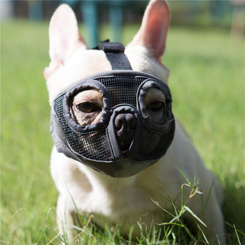 JYHY Short Snout Dog Muzzles- Adjustable Breathable Mesh Bulldog Muzzle for Biting Chewing Licking Training Grooming Dog Mask Medium/11"-17" Grey(Eyehole) - BeesActive Australia