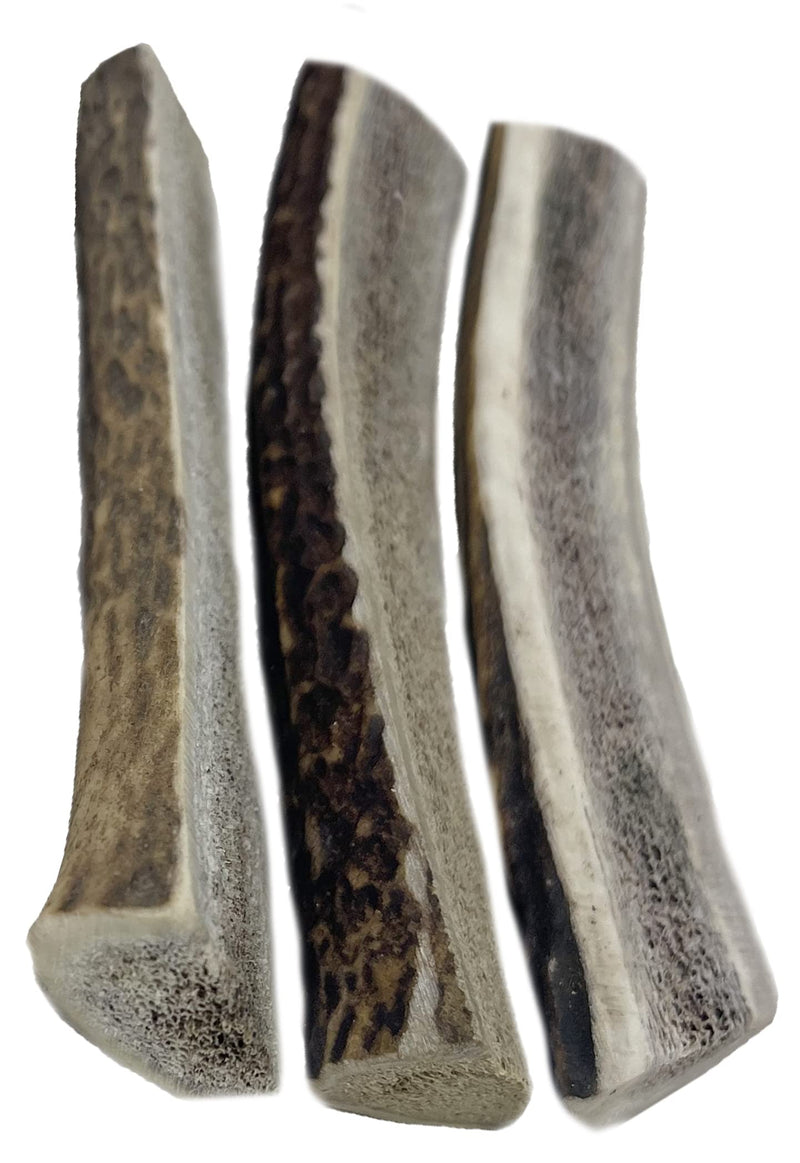WhiteTail Naturals Premium Split Elk Antlers for Dogs | All Natural Dog Chews | Naturally Shed, Antler Bone Half-Cut Small (Pack of 3) - BeesActive Australia