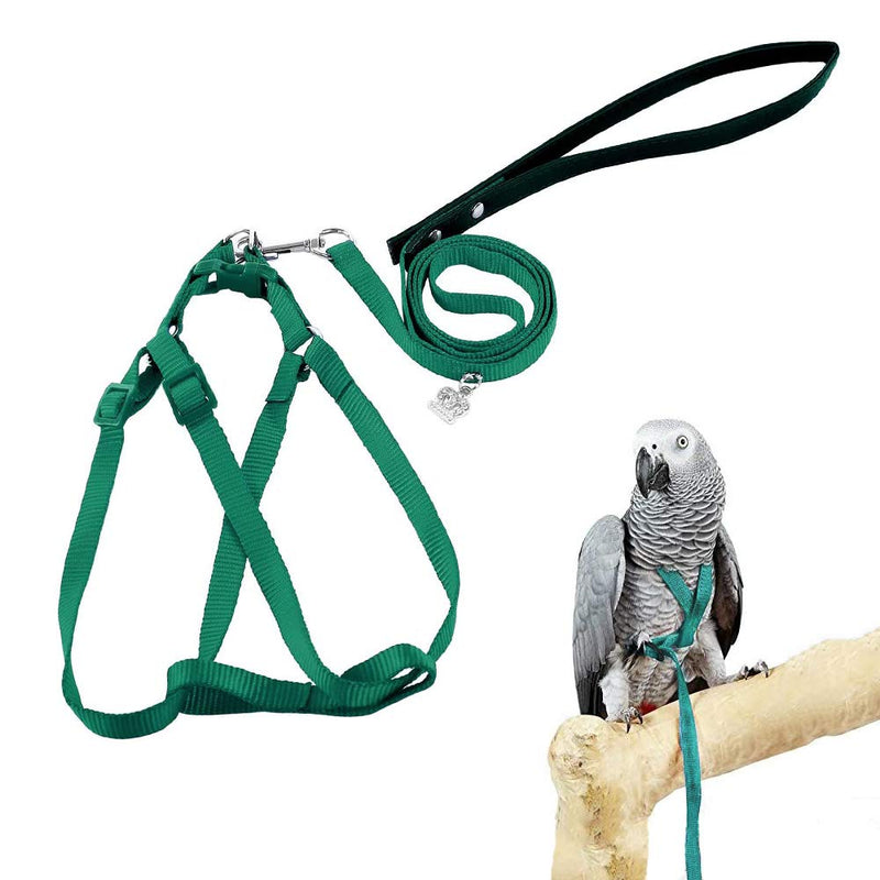 ASOCEA Adjustable Bird Harness and Leash for Yellow Naped Amazons Galah Cockatoos Small to Medium Breed Parrots Fits Birds Chest Between26-40cm /10.24-15.75inch - S - BeesActive Australia