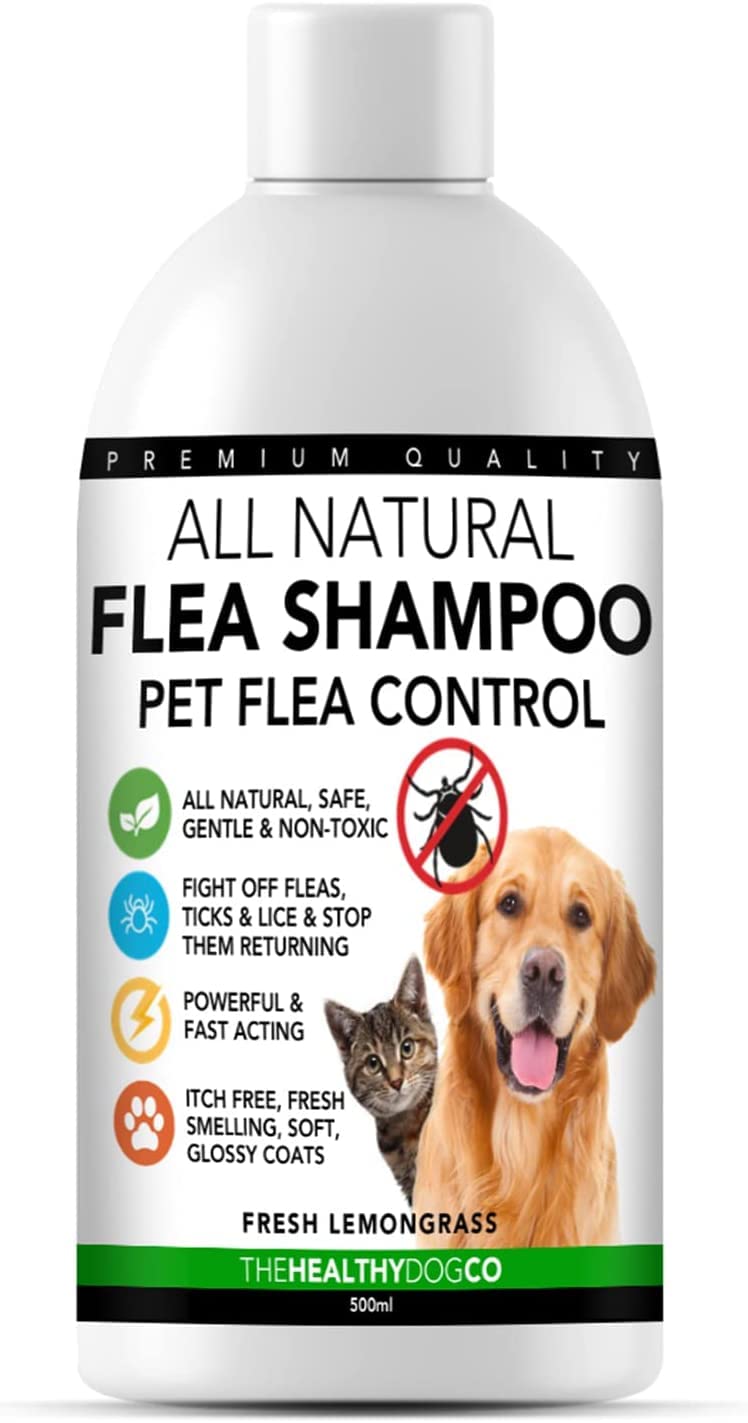 The Healthy Dog Co - Flea Shampoo for Dogs - Flea and Tick Shampoo for Dogs - Dog Flea Shampoo - Dog Shampoo Flea and Tick - Dog Flea and Tick Shampoo - Puppy Flea Shampoo - Flea and Tick Shampoo 16oz - BeesActive Australia