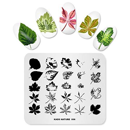 KADS Templates for Nails Leaf Nature Fall Stamping Plates Image Plates for Manicure DIY Nail Art (NA006) NA006 - BeesActive Australia