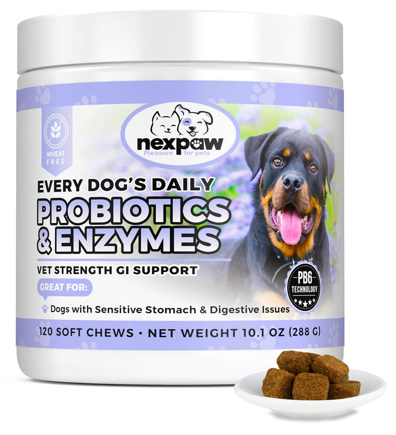 Probiotics for Dogs - Relief Diarrhea, Gas, Bloating, Constipation, Upset Stomach - Digestive Health Support - Soft Chews for Dog & Puppies - BeesActive Australia
