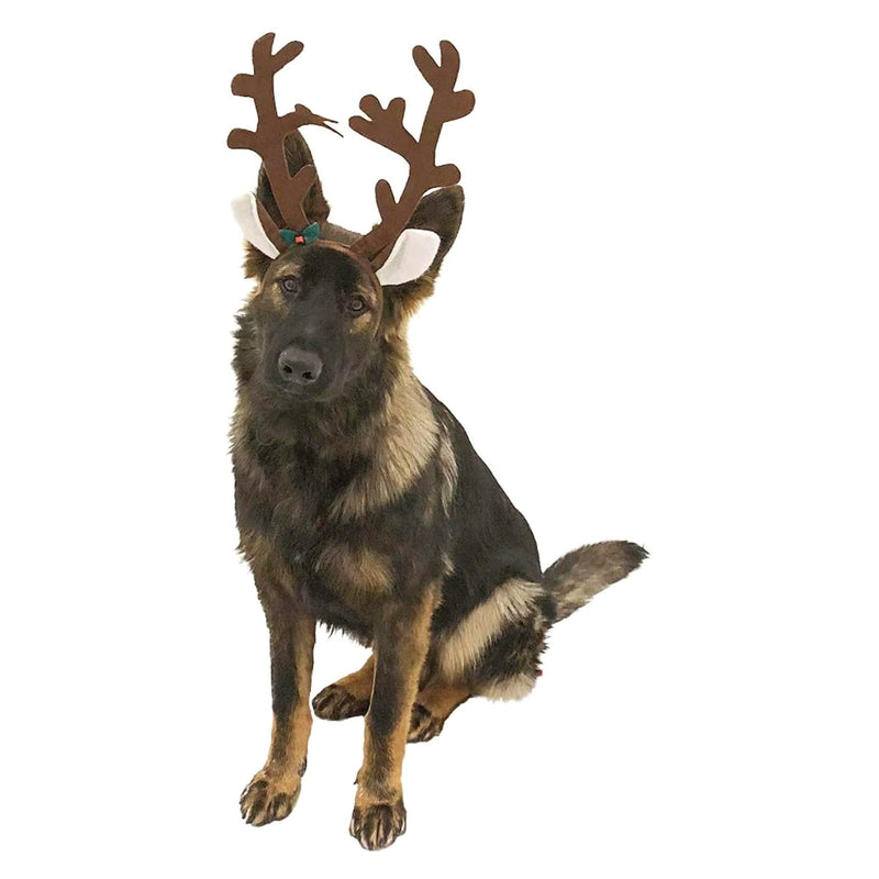 Midlee Brown Reindeer Dog Antlers Headband with Jingle Bell- Pet Christmas Costume - BeesActive Australia