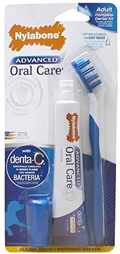 Nylabone Advanced Oral Care Dog Dental Kit - BeesActive Australia