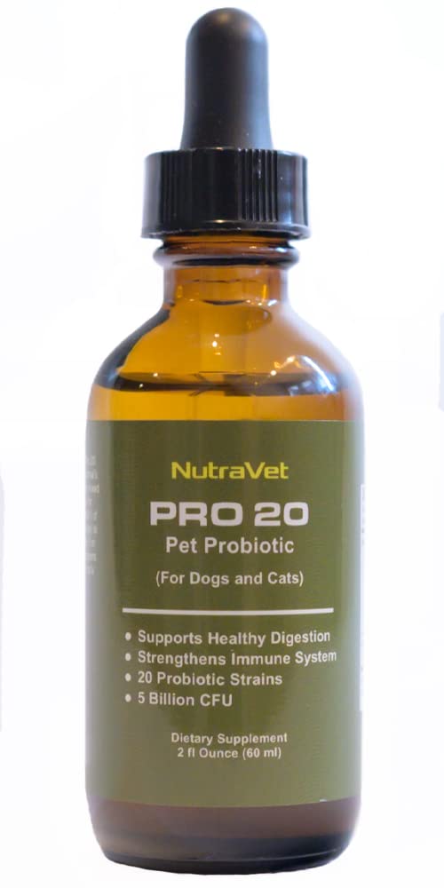 Probiotics for Dogs and Cat Probiotics -- 120 Servings (1/2ml). 100% Natural Digestive Enzymes for Gas Relief and Healthy Digestion. Prebiotics via Liquid Vitamins for Constipation & Leaky Gut - BeesActive Australia