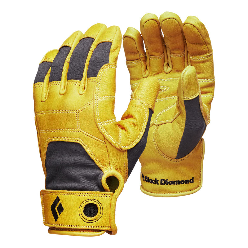 Black Diamond Equipment - Transition Gloves - Natural - Small - BeesActive Australia