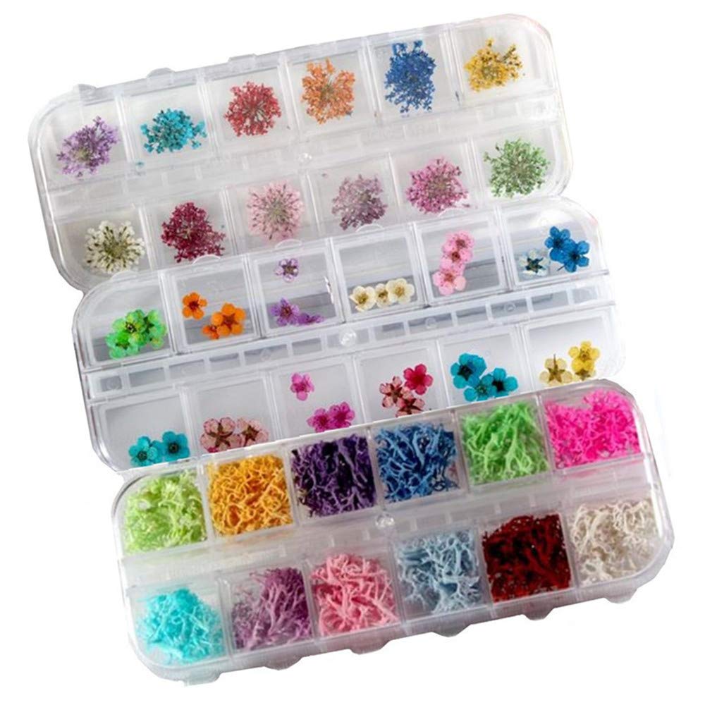 XICHEN 3 Boxes/84 PCS Nail Art Accessories three-dimensional nail dry flowers (Starry/five flower/ 3D Nail Art Coral flower) - BeesActive Australia