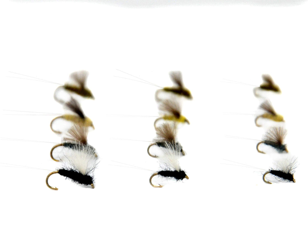 Outdoor Planet All-Time Favorites Trout Assortment Dry Flies/Nymph/Caddis/Mayfly/Attractor/Wet Flies Trout Fly Fishing Flies 12 RS2 Flies - BeesActive Australia