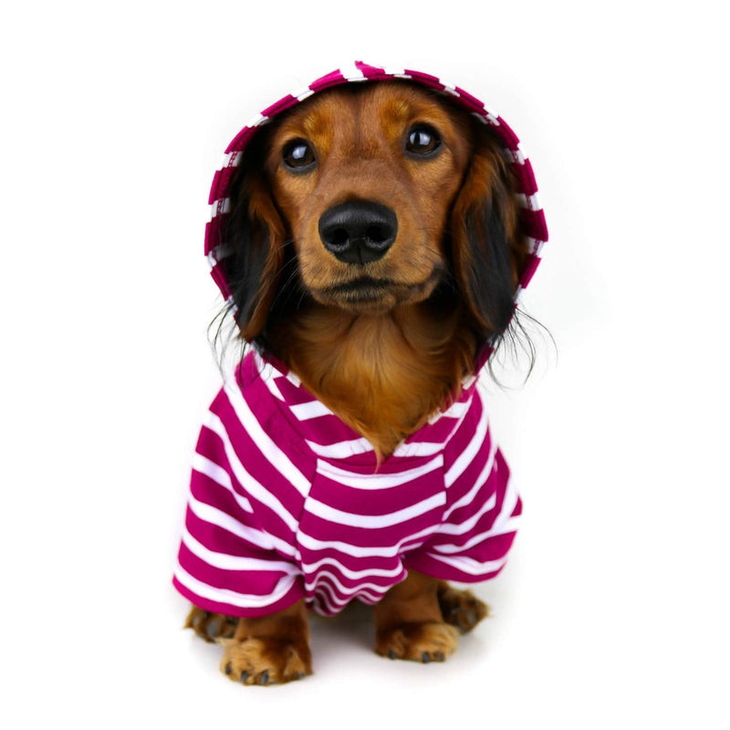 DJANGO Dog Hoodie and Super Soft and Stretchy Sweater with Elastic Waistband and Leash Portal Small Boysenberry - BeesActive Australia