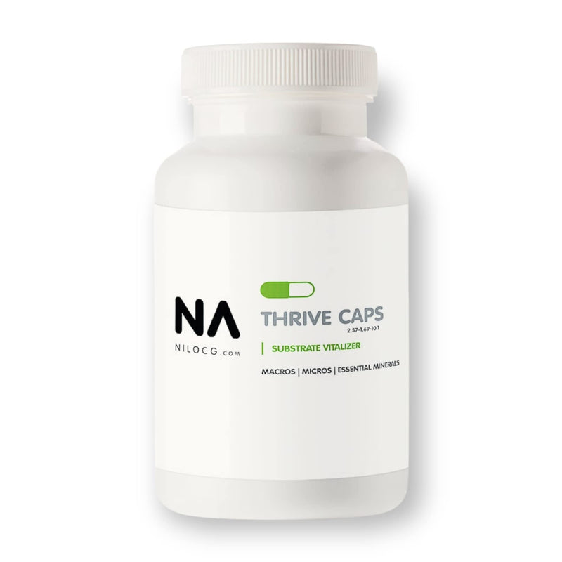 ThriveCaps | Aquarium Root Tab/Caps | NA Premium Root Caps 60 Count(1 Gram Each) 60 ct - BeesActive Australia