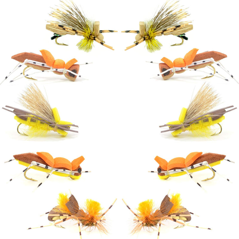 The Fly Fishing Place Basics Collection - Foam Hoppers Dry Fly Assortment - 10 Dry Fishing Grasshopper Flies - 5 Patterns - Hook Size 10 - BeesActive Australia