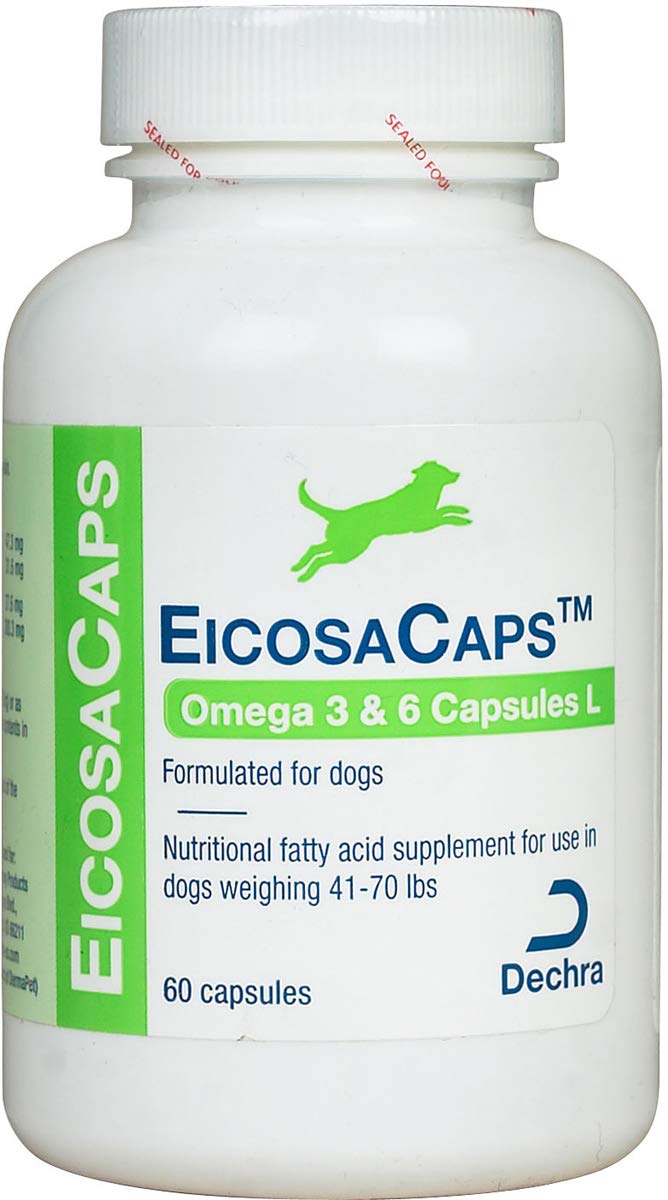 Dechra EicosaCaps Omega 3 & 6 Capsules for Dogs 41-70 lb 60 Count - BeesActive Australia