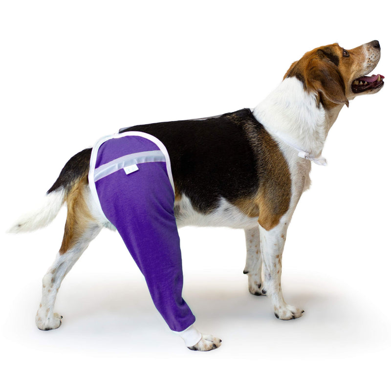 After Surgery Wear Hip and Thigh Wound Protective Sleeve for Dogs. Dog Recovery Sleeve. Recommended by Vets Worldwide Medium Purple - BeesActive Australia