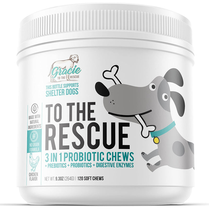 Probiotic Chews for Dogs with Pre and Probiotics - Advanced Dog Probiotics and Digestive Enzymes, Diarrhea Treatment, Itchy Skin, Upset Stomach, coprophagia, UTI's, Dog Allergy - BeesActive Australia