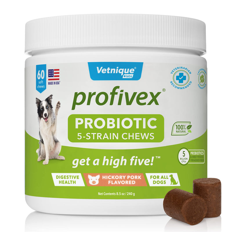 Profivex Probiotics for Dogs Soft Chews Daily Chewable Pet Digestive Treats All-Natural 5 Strain Dog Probiotics with Prebiotics & Added Fiber from Sweet Potato - by Vetnique Labs 60ct - BeesActive Australia