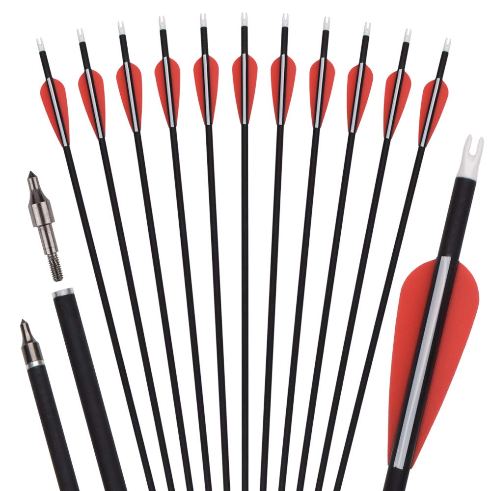 Archery 30Inch Carbon Arrow Practice Hunting Arrows with Removable Tips for Compound & Recurve Bow red 12 pcs - BeesActive Australia