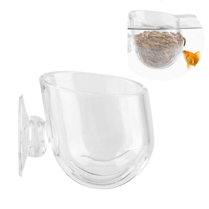 Aquarium Worms Feeder Live Red Worm Feeding Cone Cup Transparent Acrylic Fish Tank Brine Shrimp Feeder Crystal Glass Plant Feeding Container Holder with Suction Cups - BeesActive Australia