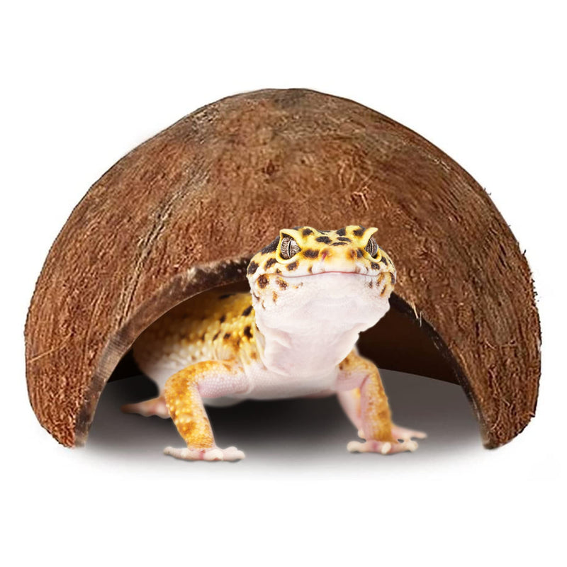 SunGrow Leopard Gecko Cave, Coco Shell House, Smooth-Edged Spacious Reptile and Amphibian Hideout, 1 Pc per Pack - BeesActive Australia