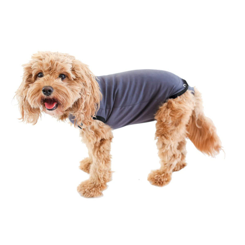 BellyGuard - After Surgery Dog Onesie, Recovery Suit for Dogs, Comfortable Substitute for Cone for Dogs After Surgery,Dog Recovery Suit with Stretch-Fit Cotton Material and Adjustable Rear Flap Medium Grey - BeesActive Australia