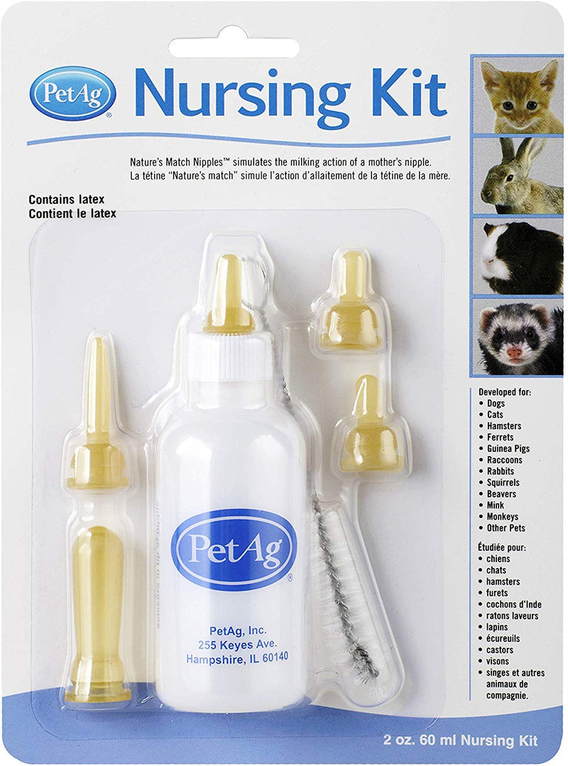 Pet Ag Kitten Nursing Kit 2 oz - Pack of 4 - BeesActive Australia