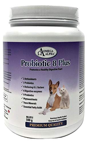 Omega Alpha Pet Probiotic 8 Plus - Probiotics, Enzymes, and Fibre for Better Pet Digestion.-500g - BeesActive Australia