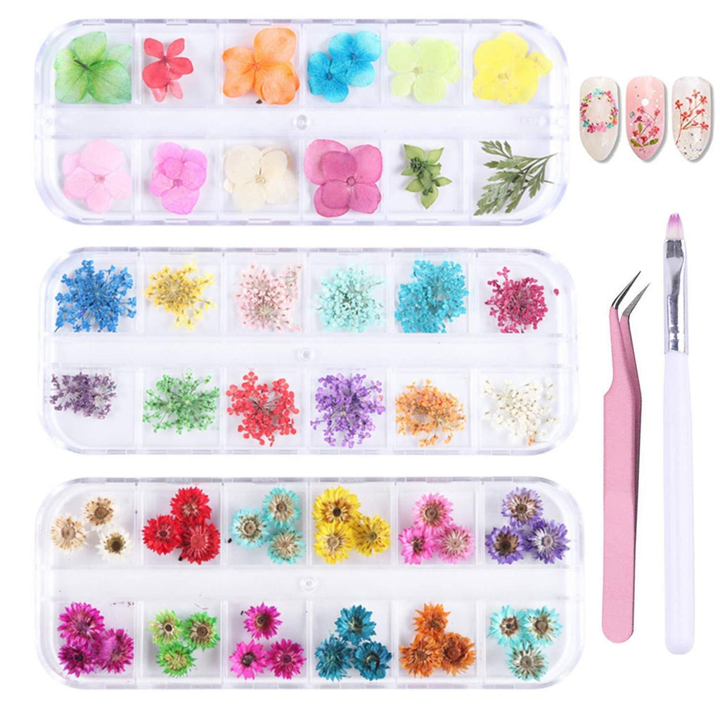 PHAETON 36 Colors Mini Nail Dried Flowers 3D Nail Art Sticker, Flower Beauty Nail Stickers for Manicure, Natural Real Dry Flower Kit with a Curved Tweezers and a Nail Brush 3 Boxes - BeesActive Australia