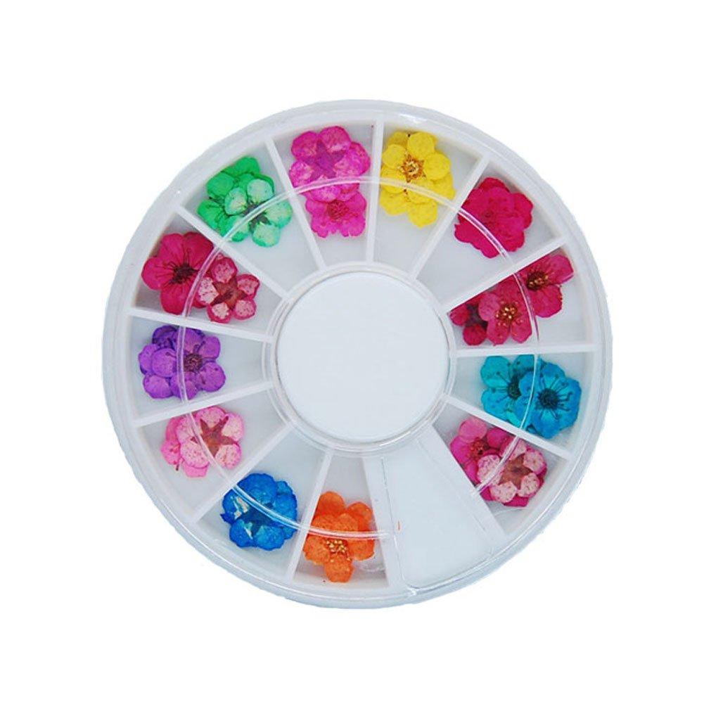 Real Flowers for Nails, Flower Nail Art, 3D Nails Stickers with Nature Dry Flowers 12 Color 36 Pcs - BeesActive Australia