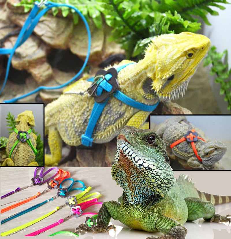 Lizard Leash Bearded Dragon Harness Adjustable Reptile Lizard Harness Leash Parrot Harness Turtle Lizard, Suitable for Gecko Hamster Kitten Small Animal Outdoor Walking Pink - BeesActive Australia
