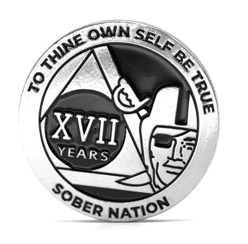 [AUSTRALIA] - MyRecoveryStore Silver and Black Pirate Alcoholics Anonymous AA Chip w/Coin Capsule AA Yearly Medallion 1-50 Years Year 17 
