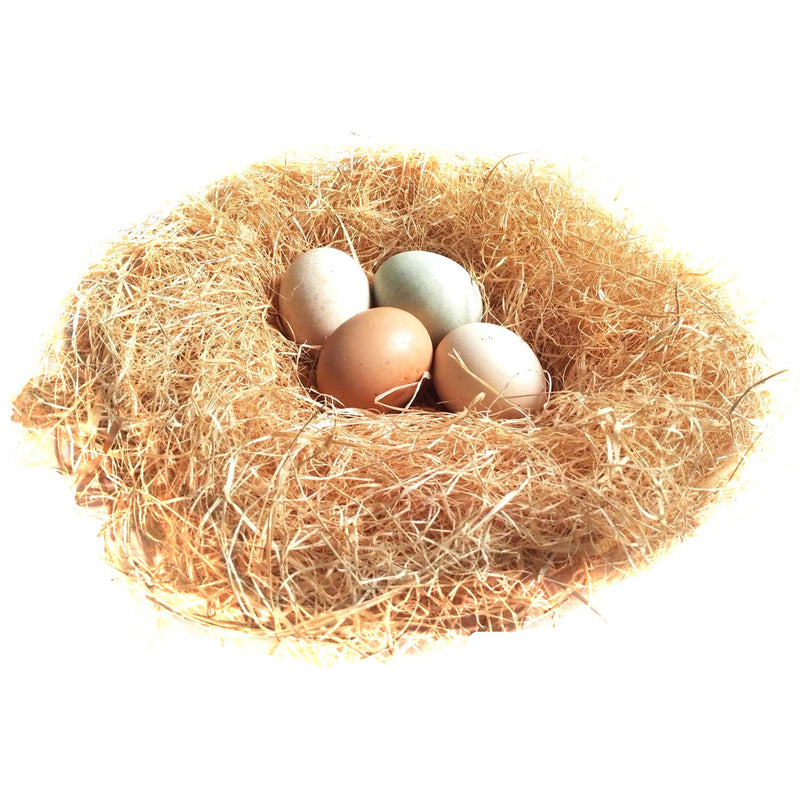 BWOGUE 100g/3.5oz Natural Grass Nesting Pads for Chicken Hens Birds Nest Bedding - BeesActive Australia