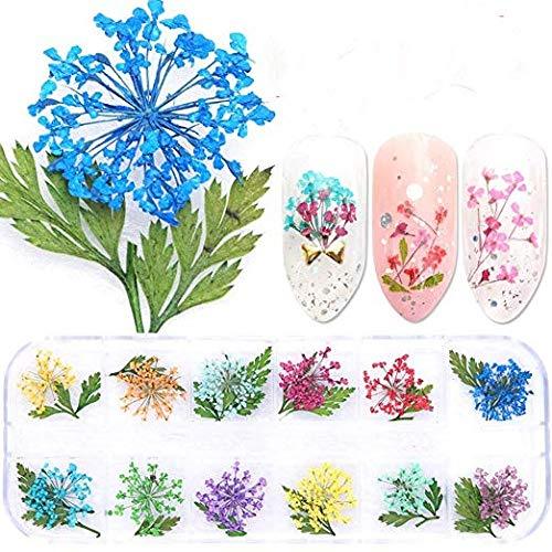 Valuu 3D Nail Art Dried Flowers Sticker Decals 12 Colors Natural Real Dry Flower Nail Art Decoration Lovely Beauty Flower Leaf Nail Stickers for 3D Nail Art Acrylic UV Gel Tips - BeesActive Australia